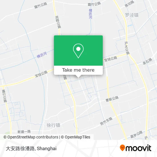 大安路徐潘路 map