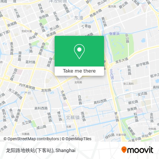 龙阳路地铁站(下客站) map