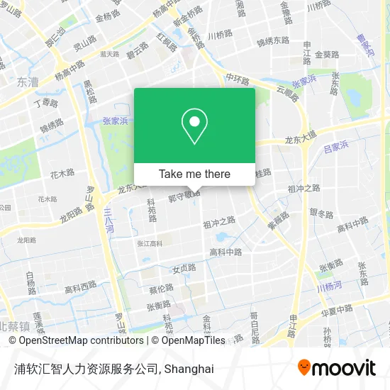 浦软汇智人力资源服务公司 map
