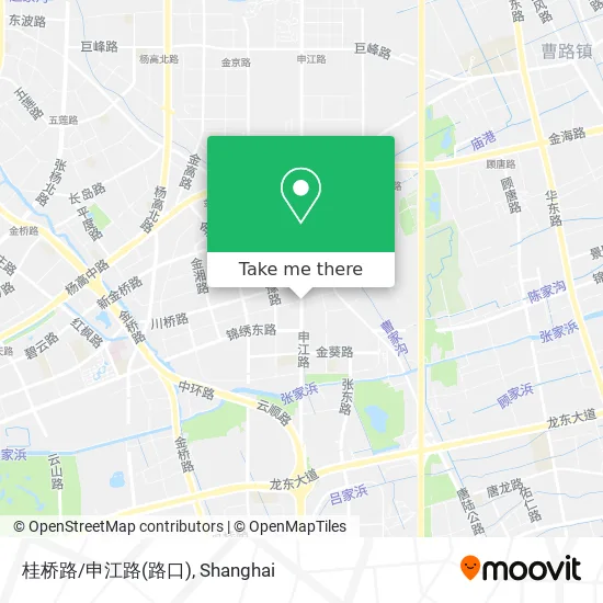 桂桥路/申江路(路口) map