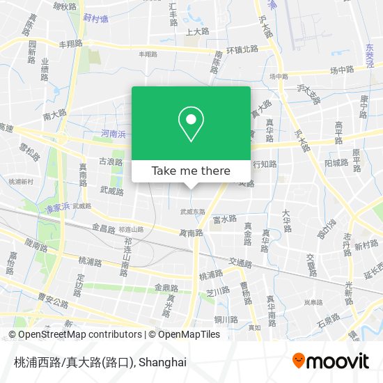 桃浦西路/真大路(路口) map