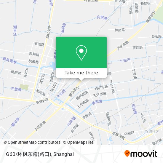 G60/环枫东路(路口) map