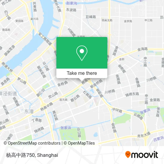 杨高中路750 map