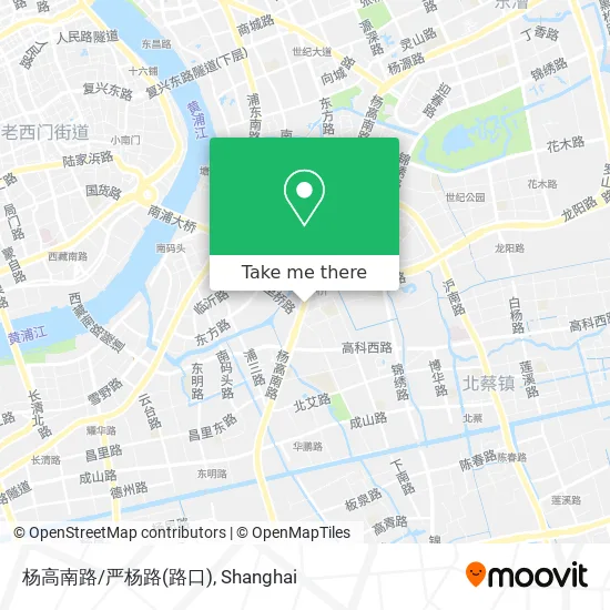 杨高南路/严杨路(路口) map