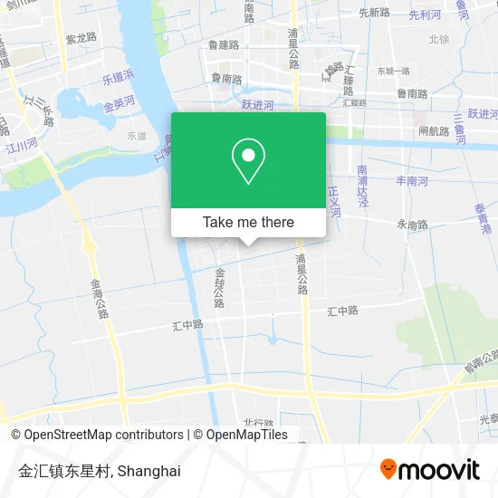 金汇镇东星村 map