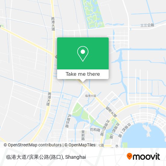 临港大道/滨果公路(路口) map