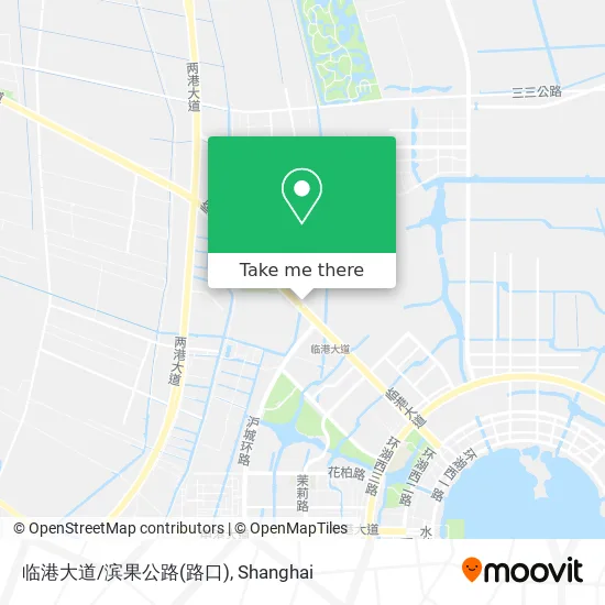 临港大道/滨果公路(路口) map