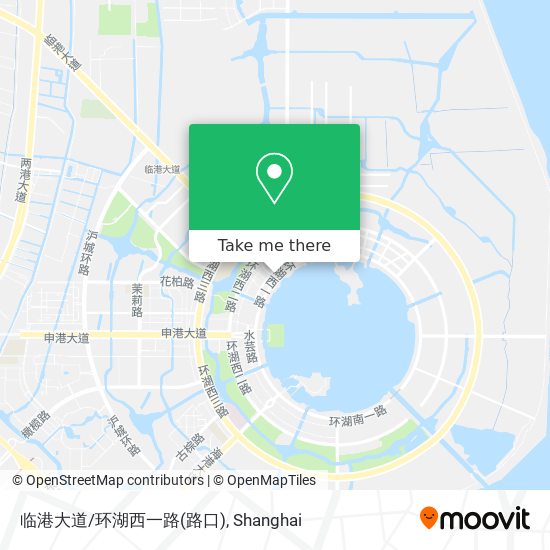 临港大道/环湖西一路(路口) map