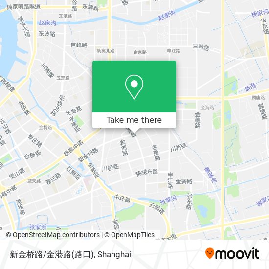 新金桥路/金港路(路口) map