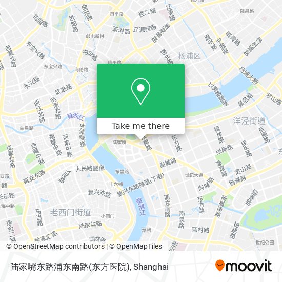 陆家嘴东路浦东南路(东方医院) map