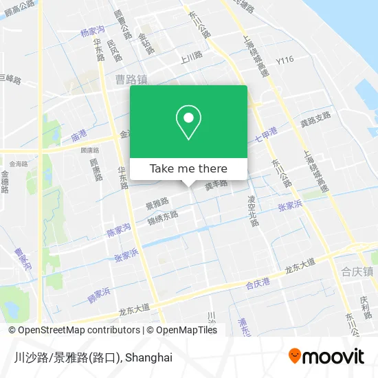 川沙路/景雅路(路口) map