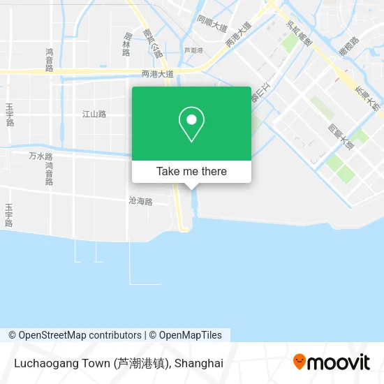Luchaogang Town (芦潮港镇) map