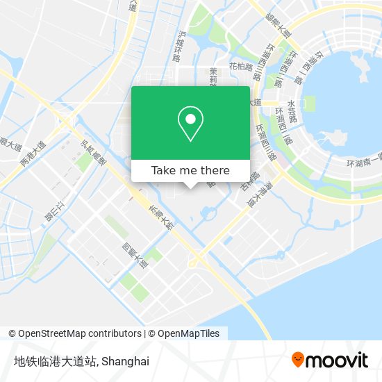地铁临港大道站 map