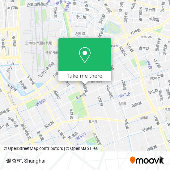 银杏树 map