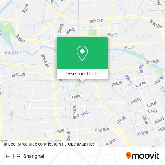 白玉兰 map
