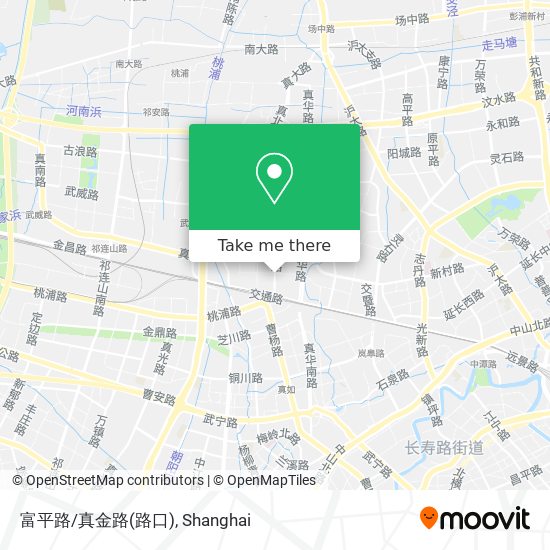 富平路/真金路(路口) map
