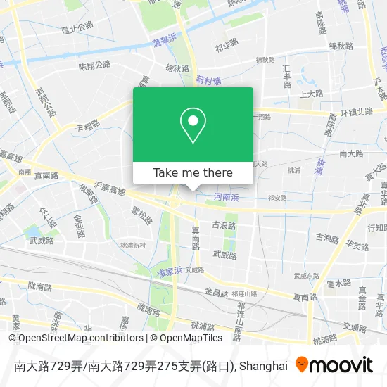 南大路729弄/南大路729弄275支弄(路口) map