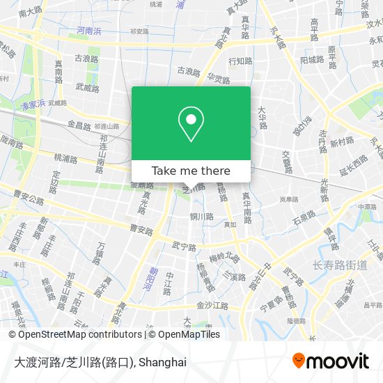 大渡河路/芝川路(路口) map