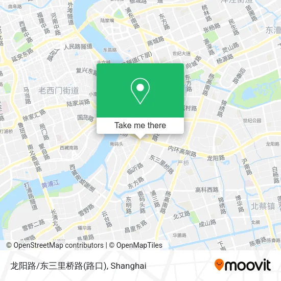 龙阳路/东三里桥路(路口) map