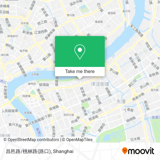 昌邑路/桃林路(路口) map