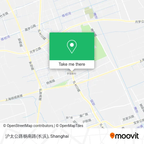 沪太公路杨南路(长浜) map