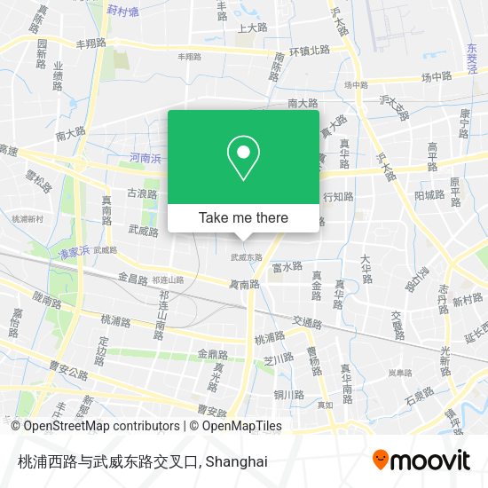 桃浦西路与武威东路交叉口 map