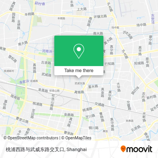 桃浦西路与武威东路交叉口 map