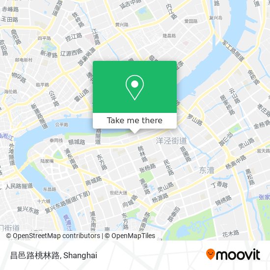 昌邑路桃林路 map