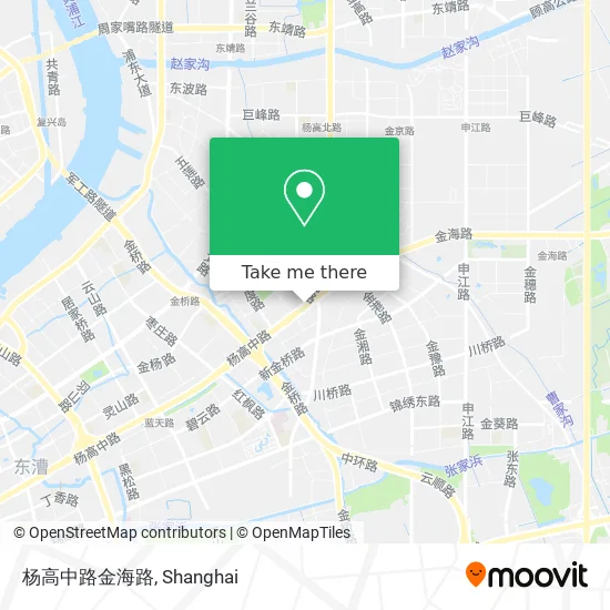 杨高中路金海路 map