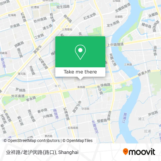 业祥路/老沪闵路(路口) map