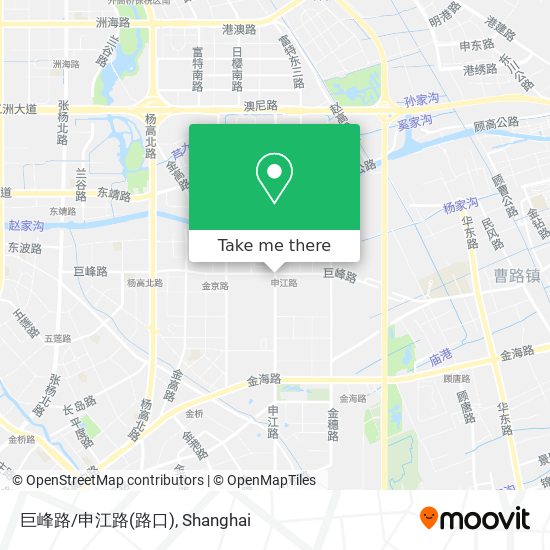 巨峰路/申江路(路口) map