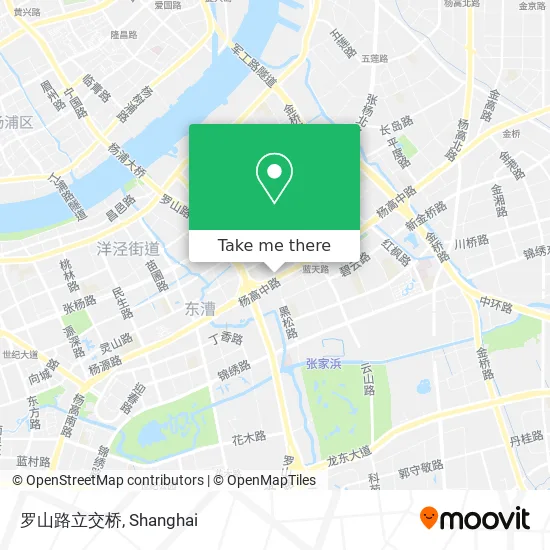 罗山路立交桥 map