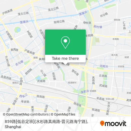 859路[低谷定班](水杉路真南路-晋元路海宁路) map