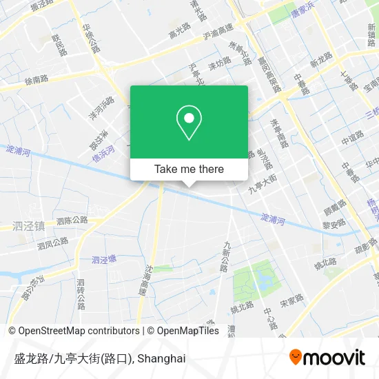 盛龙路/九亭大街(路口) map