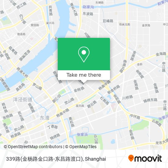 339路(金杨路金口路-东昌路渡口) map