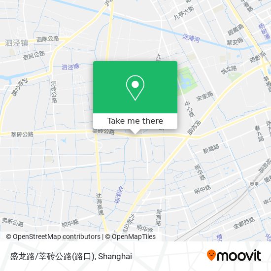 盛龙路/莘砖公路(路口) map