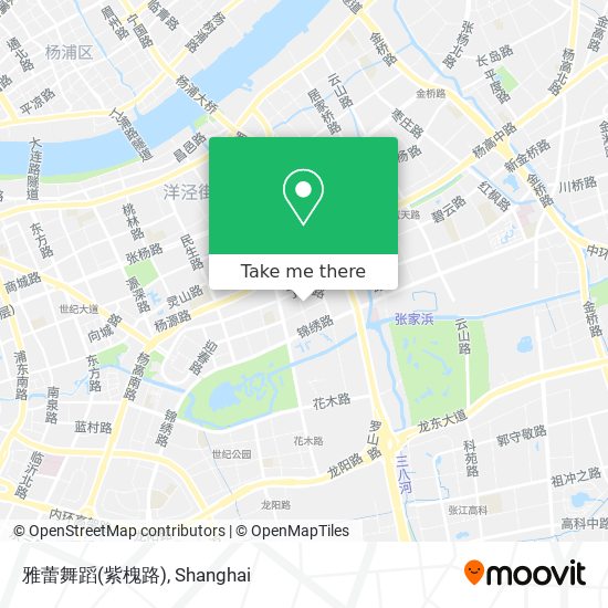 雅蕾舞蹈(紫槐路) map