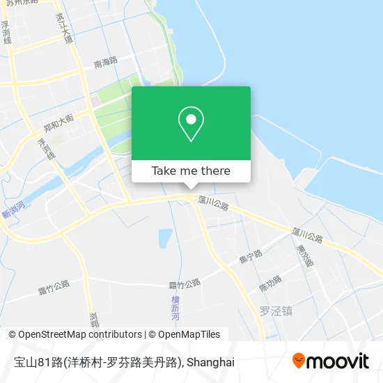 宝山81路(洋桥村-罗芬路美丹路) map
