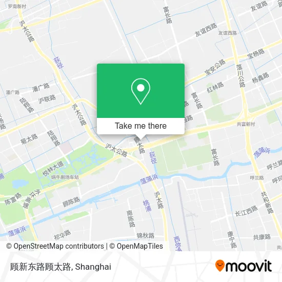 顾新东路顾太路 map
