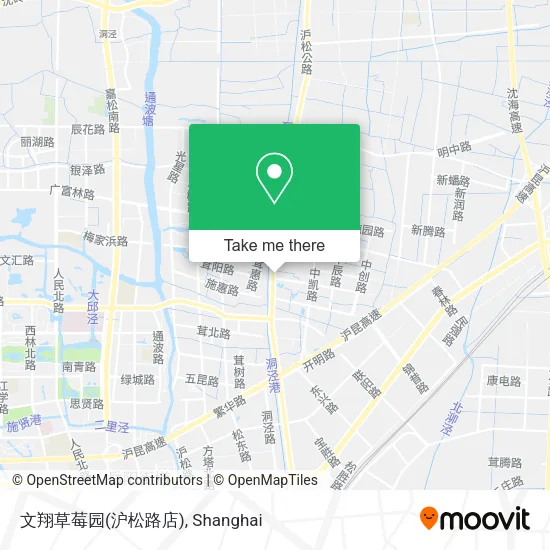 文翔草莓园(沪松路店) map