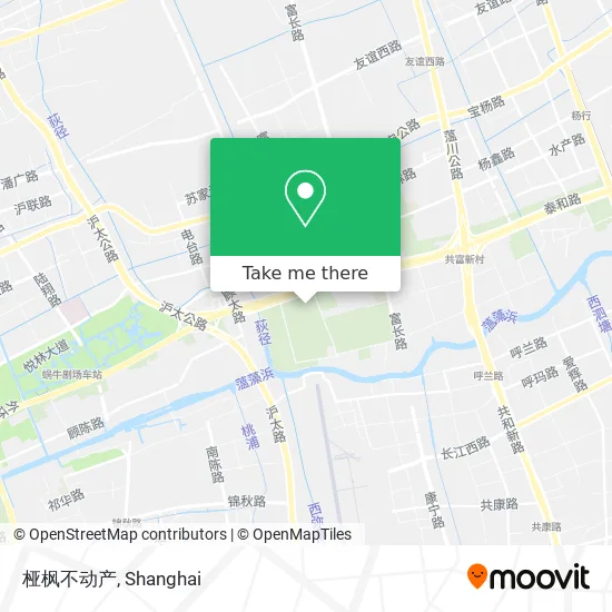 桠枫不动产 map