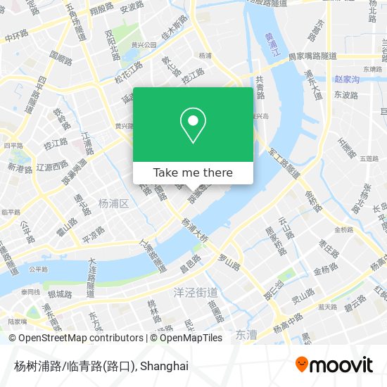 杨树浦路/临青路(路口) map