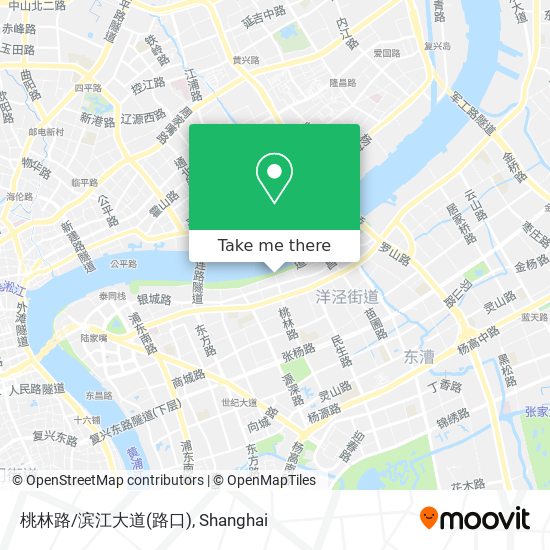 桃林路/滨江大道(路口) map