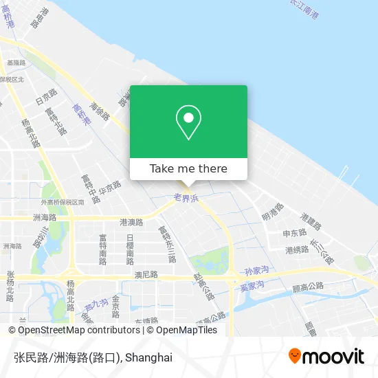 张民路/洲海路(路口) map