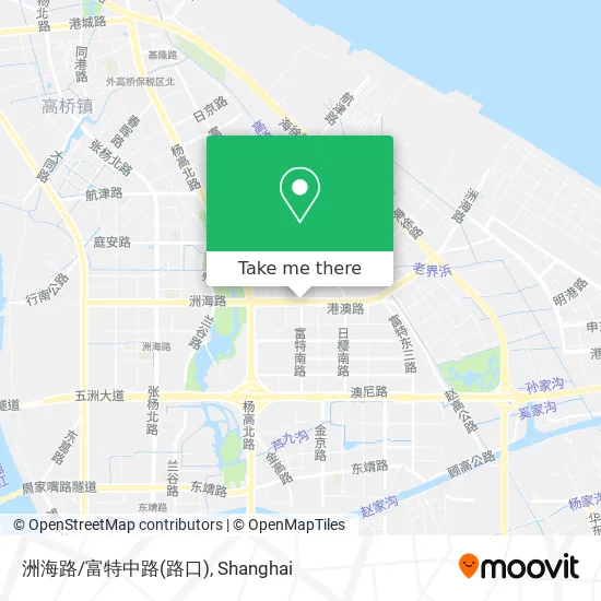 洲海路/富特中路(路口) map