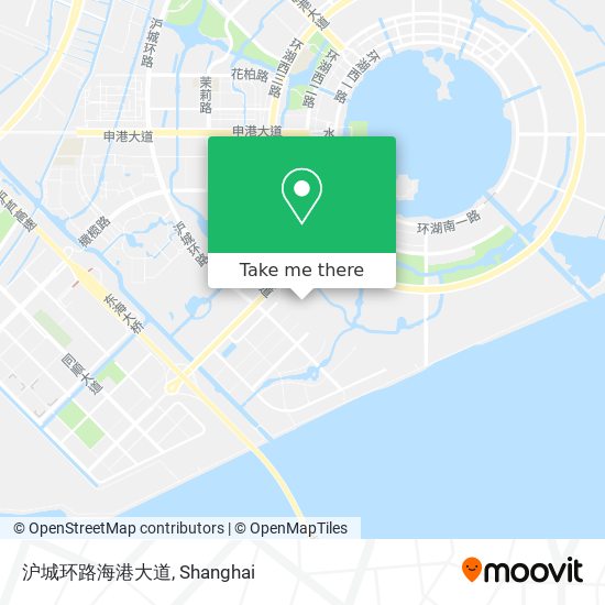 沪城环路海港大道 map