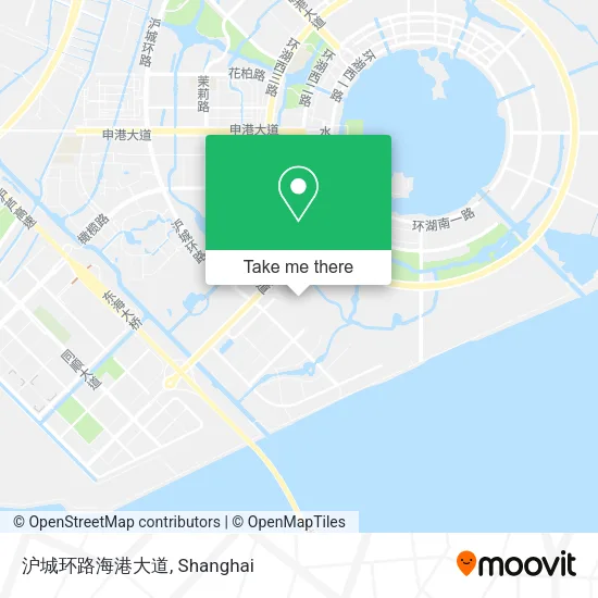沪城环路海港大道 map
