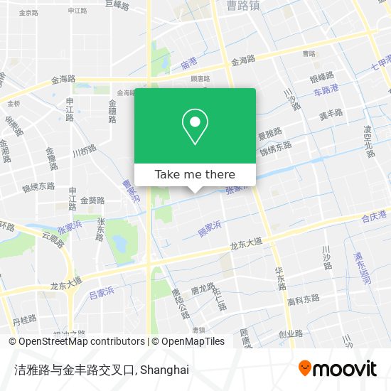 洁雅路与金丰路交叉口 map