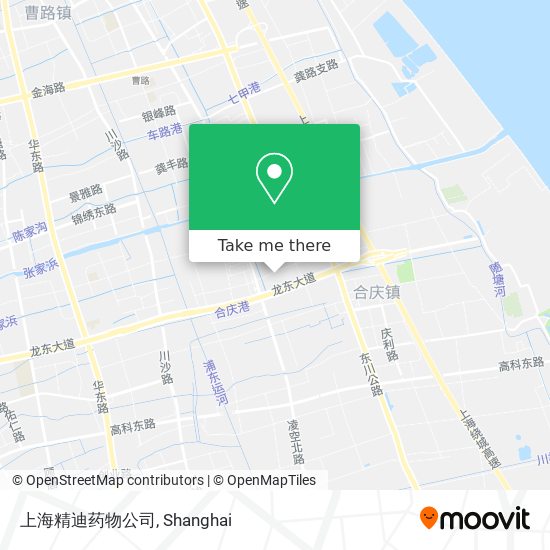 上海精迪药物公司 map