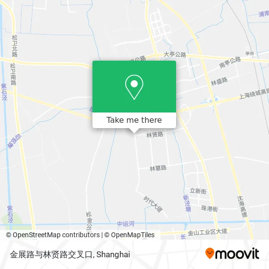 金展路与林贤路交叉口 map